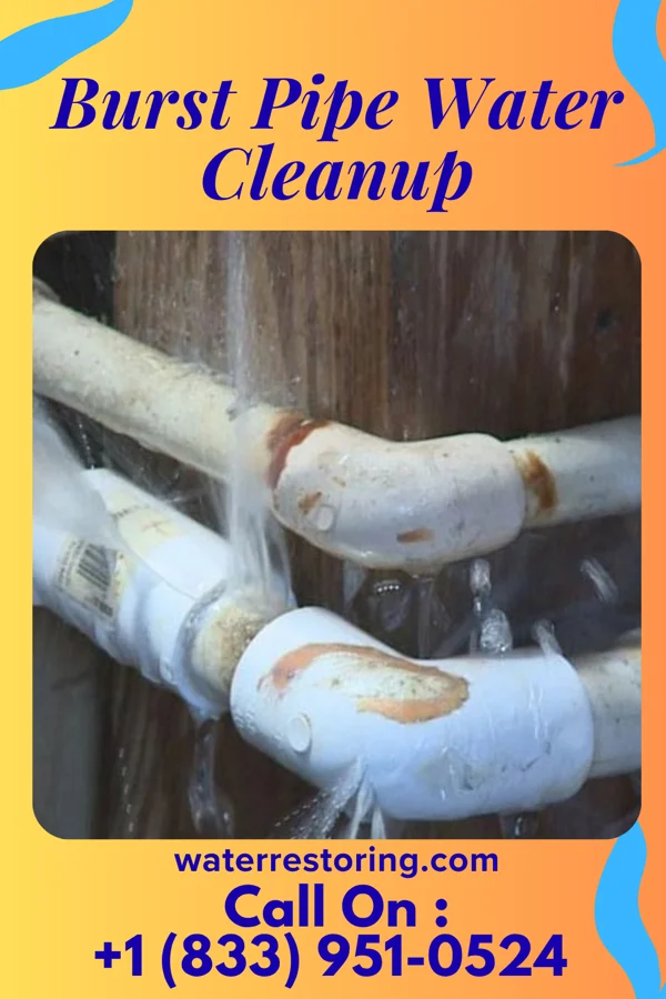 Burst Pipe Water Cleanup in Arthur, IA